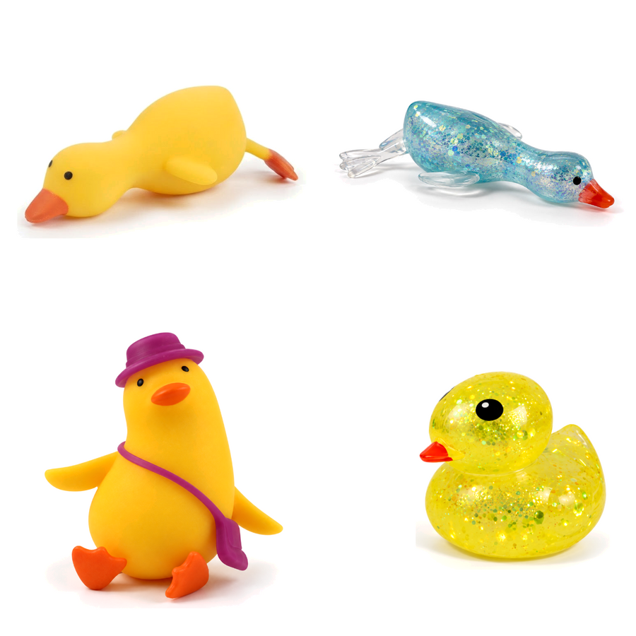 Squishy Box Duck Lovers